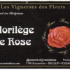 Scåssenes (previously Ecaussinnes) Les Vignerons des Fleurs - Florilège de Rose