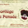 Scåssenes (previously Ecaussinnes) Les Vignerons des Fleurs - Florilège de Pensée