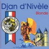 Brasserie de Jandrain-Jandrenouille Djan d'Nivèle Blonde