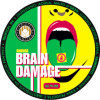 Birrificio Pontino Brain Damage Ananas