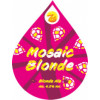 Zest Brewery Mosaic Blonde