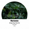 Dig Brew Co Marianne