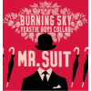 Burning Sky Brewery Mr Suit
