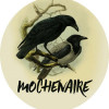 Brasserie Artisanale La Mochenaire Black