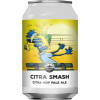 Benchwarmers Brewing Co Citra Smash