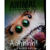 Animal Brewing Co Aghhhh!