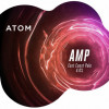 Atom Beers Amp