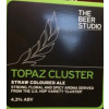 The Beer Studio Topaz Cluster
