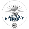 Box Steam Brewery Galaxy Hop