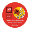 Browar Stu Mostów ART+20 Hibiscus Citrus Saison