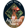 Cairngorm Brewery Autumn Nuts