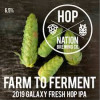 Hop Nation Brewing Co Farm to Ferment