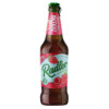 Efes Vitanta Moldova Brewery Chișinău Radler Raspberry