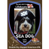 Cullercoats Brewery Sea Dog