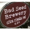 Bad Seed Brewery Citra Riwaka Red