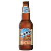 Blue Moon Brewing Company Harvest Pumpkin Wheat