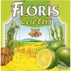 Brouwerij Huyghe Floris Cactus