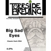 Torrside Brewing Big Sad Eyes