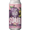 Connecticut Valley Brewing Plum Crazy Sour