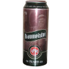 Pivovarna Union Braumeister Pilsner