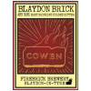Firebrick Blaydon Brick