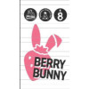 Zmajska Pivovara Brewer's Concoction Berry Bunny