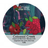 Wander Beyond Brewing Colossal Creek