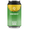 Evoqe Brewing Evoqesour #7