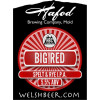 Hafod Brewing Co. Big Red