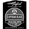 Hafod Brewing Co. Clwydian Black