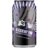 Revolution Brewing Company Blackberry Finn