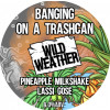 Wild Weather Ales Banging On A Trashcan
