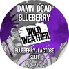 Wild Weather Ales Damn Dead Blueberry