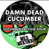 Wild Weather Ales Damn Dead Cucumber