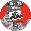 Wild Weather Ales Damn Dead Cherry