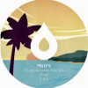 Polly's Brew Co. A Late Summer: Citra