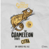 Little Critters Brewing Co. The Chameleon Series - Citra