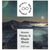Infinity Brewing Company Wander