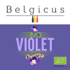 La Brasserie Belge Belgicus Violet Bio