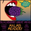 Malmö Meadery Hmm... Honey