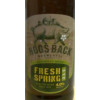 Hogs Back Brewery Fresh Spring Ale