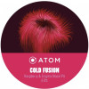 Atom Beers Cold Fusion - Raspberry & Enigma