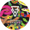 Azvex Brewing Company Colourful Snakes