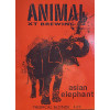 Animal Brewing Co Asian Elephant