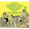 Burning Sky Brewery NZ Grisette