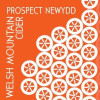 Welsh Mountain Cider Prospect Newydd