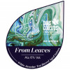London Beer Factory From Leaves