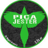 Magpie Brewery Pica Jester