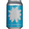 Duckpond Brewing Blue Sombrero