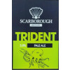 Scarborough Trident